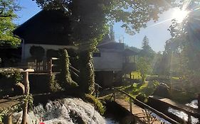 Guesthouse Pod rastockim krovom